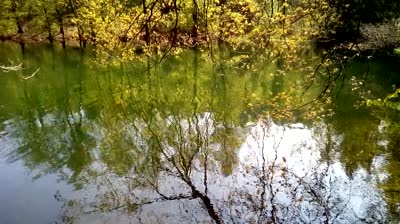 Video, Teich, Welle, Buddha