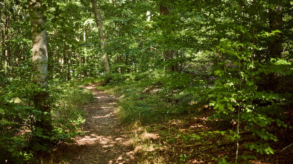 Matronen Rituale, Matronensteine Heidentempel
